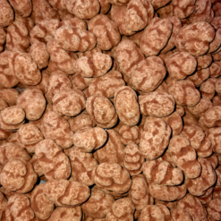 Chocolade Pecan Truffel